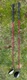 Lot (2) Hippo ITX3 5 Wood & Utility Hybrid 23 Degree Golf Clubs Fairway Graphite