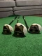 TaylorMade RBZ Rocketballz Stage 2 Wood Set 17 25 28