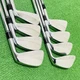TB-1000 PROTOTYPE Iron Set FOURTEEN 3-9.P Dynamic Gold Flex S200
