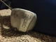 MG Golf 460S 11&deg; LH Driver Pat Simmons Graphite Senior Flex Mastergrip MC-60  