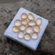 25 Carat  Natural  Top Grade Yellow Color Citrine Rose Cut 13 Piece Lot Gemstone