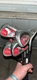 Callaway Mavrik Men's Golf Club Iron Set - 4F05448942006