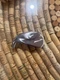 Mizuno Pro 245 Lefty demo club