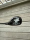 PXG 0317 X GEN2 19* 3H Hybrid Stiff Flex Mitsubishi MMT Very Good