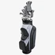 NEW Lady Wilson PlayerFit Complete Set w/ Cart Bag Driver Graphite Irons Putter NEW Lady Wilson PlayerFit Complete Set w/ Cart Bag Driver Graphite Irons Putter