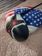 Cobra Aerojet LS Driver 10.5&deg; Right Hand Volition Edition  Project X 50g 6.0 HC