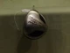 Titleist Pro Trajectory 980F Graphite Shaft Stiff Flex 15* Strong 3 Wood U615