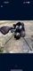 Top Flite TF19JR58BLH Complete Golf Club Set for Kid (Pack of 8)