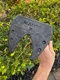 NEW LA Golf Malibu X Putter Carbon Fiber Head 35" w/ Head Cover