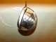 GX-7 Senior Flex Graphite Shaft 14* Driver/Wood  K810