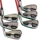 Bridgestone J15Dpf 6S Iron Set Ir Flex S