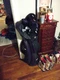 RAM MCRGS0200 EZ3 Mens Golf Club Iron Set with Stand Bag