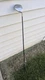 PING ZING 2 Karsten 1 Driver RH Ping Aldila Graphite Shaft Appoximately 45 In
