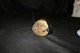 Vintage Walter Hagen Model 66430 Right Handed 3 Wood!!! Vintage Walter Hagen Model 66430 Right Handed 3 Wood!!!