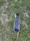 Titleist SP-201 Dead Center Putter Right-Handed, 33"