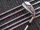 Golf Iron Set Bridgestone 213HF AiR Speeder BS UNI 6pcs 6-W JAPAN
