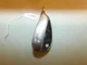 Cleveland RTX 588 Rotex 2.0 Black Wedge Flex Steel Shaft 56* Wedge 36 Inch Q999