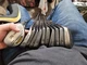 Snake Eyes FC-01 Gun Metal Iron Set Golf Clubs 3-P and a 60 deg RH Steel Shaft