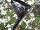 RH TITLEIST TSR4 8.0 DRIVER - HZRDUS BLACK 60g 6.0 - SHOPWEAR/DEMO - LOOKS UNHIT