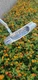 Ping Pal 2 Stunning Polished Stainless 36" Putter Golf Club Gilf Pride RH Paul