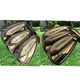 🏌️TaylorMade SpeedBlade (6,8,9 Iron )Steel R Flex RH New Grips⛳