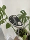 Titleist 2017 Scotty Cameron Futura 5CB 33&rdquo; Putter RH Steel with Cover!