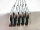 Mizuno Pro 221 Iron Set 6-PW / Dynamic Gold 105 R300