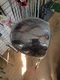 Cobra King  AIR X 2 Straight Neck 9.5&deg; Driver- New - Lightweight Forgiving
