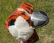 Titleist Titanium 983K 8.5* Driver Grafalloy Graphite =Shaft LH - New Grip Tiger