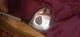 RH Tour edge exotics XCG4 5 wood 80gm XStiff shaft