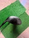 titleist 917 d2 driver 10.5 stiff