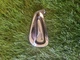 Srixon Z 585 7 Iron Right Handed Demo/Fitting Golf Club Head *MB*